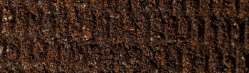 Fondi