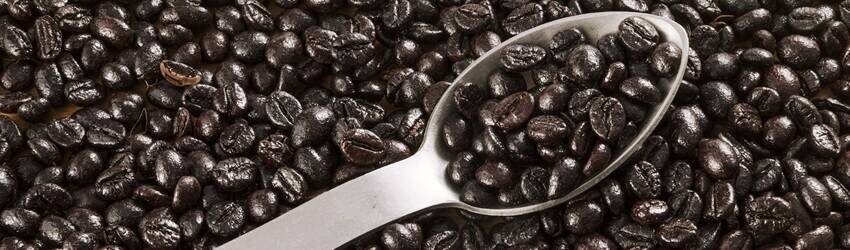 Chicchi di caffè oleosi