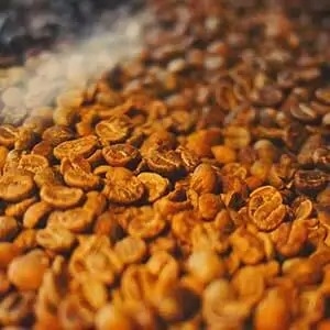 Cos'è il caffè e da dove viene?