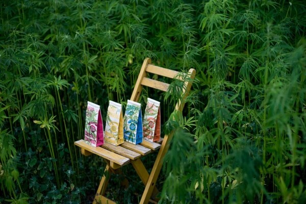 Sleepy Hemp - Tisana di Canapa & Erbe 40 grammi - Dutch Harvest tè sfuso