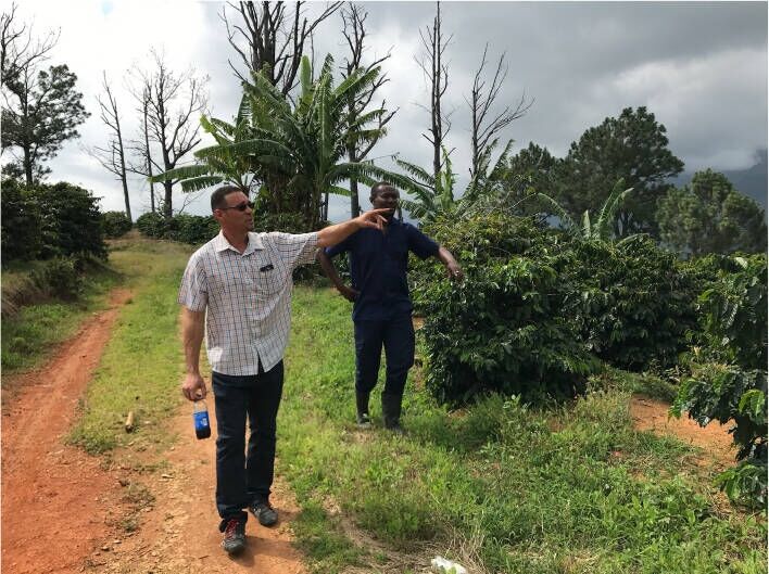 Jamaican Blue Mountain №1 - Chicchi di caffè freschi - 100 g