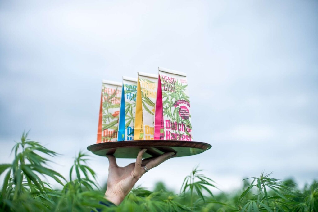 Hemp & Herbs - Tisana di Canapa & Erbe 40 gram - Dutch Harvest tè sfuso