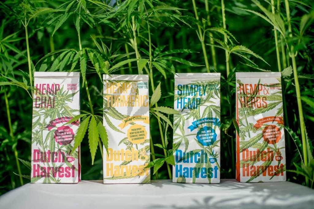 Hemp & Curcuma - Tè di Canapa & Curcuma 50 gram - Dutch Harvest tè sfuso