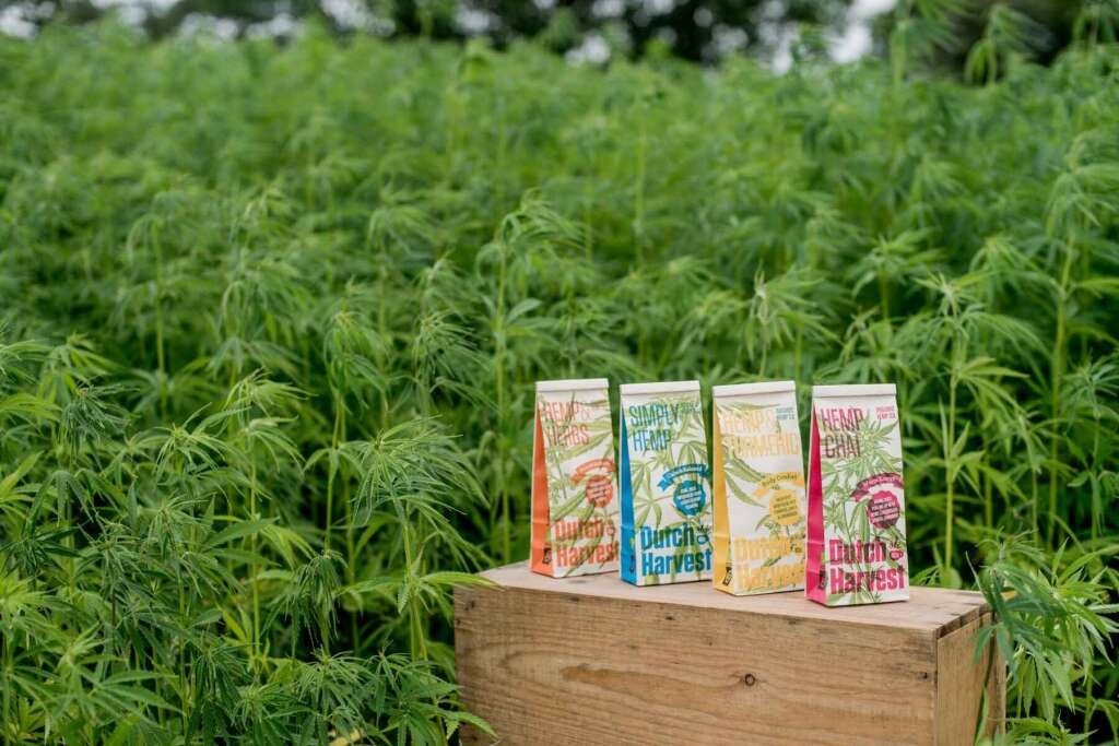 Hemp & Herbs - Tisana di Canapa & Erbe 40 gram - Dutch Harvest tè sfuso