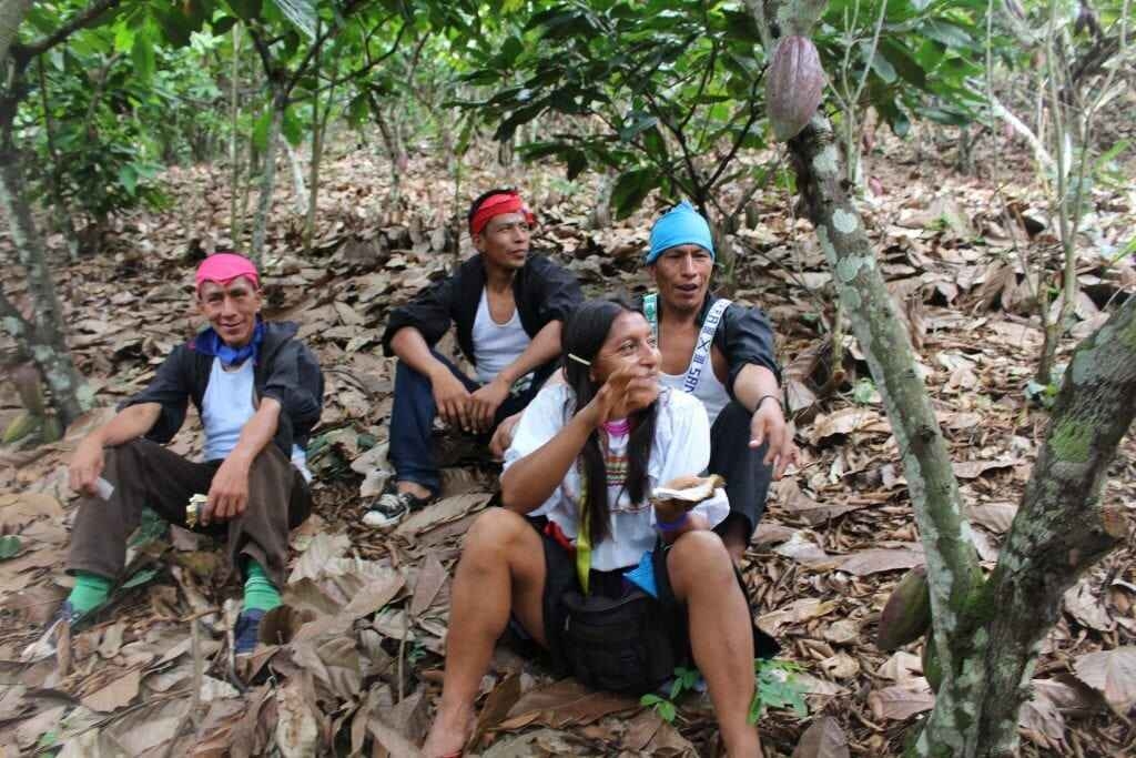 Millésime - Perù Speculoos - Cioccolato al latte 55% (Biologico)