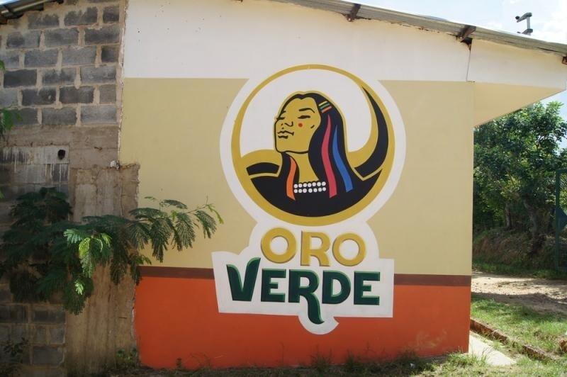 Millésime - Perù Speculoos - Cioccolato al latte 55%