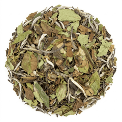 Bai Mudan - tè bianco 100 grammi - Café du Jour tè sfuso
