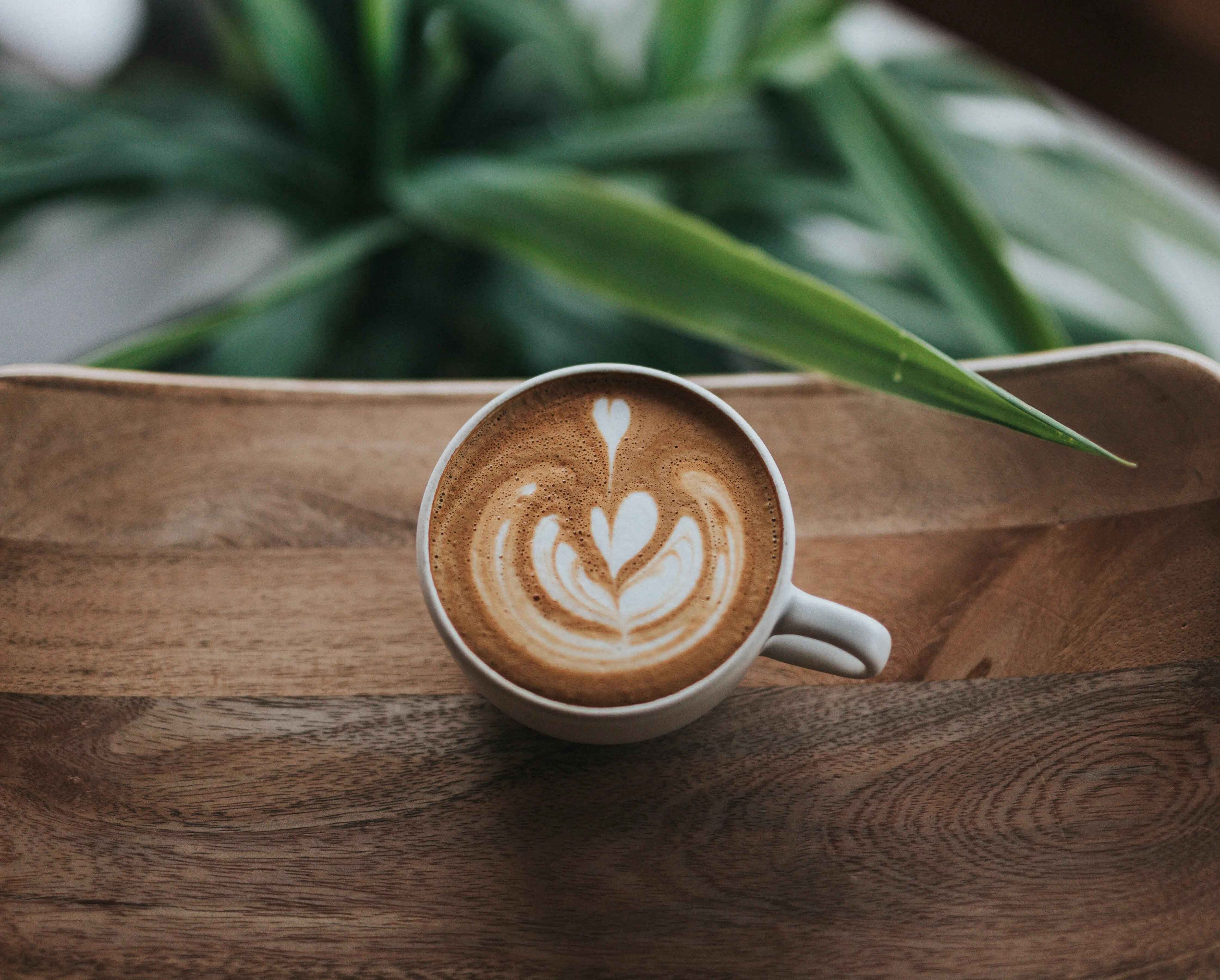 Diventare un barista a casa